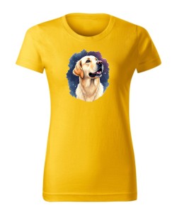 Golden retriever kosmos