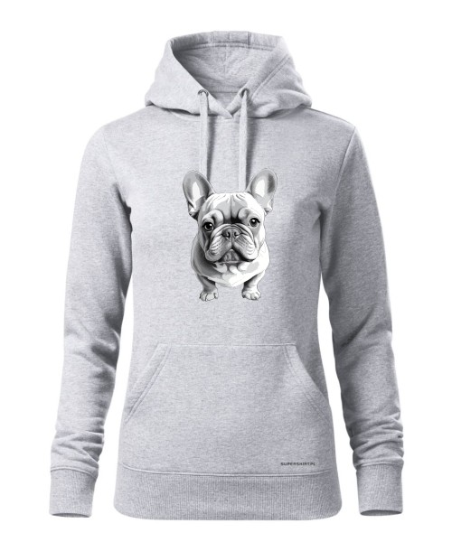 Buldog francuski