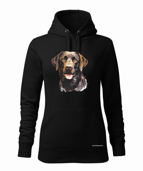 Labrador czekoladowy