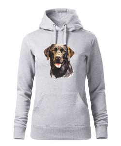 Labrador czekoladowy