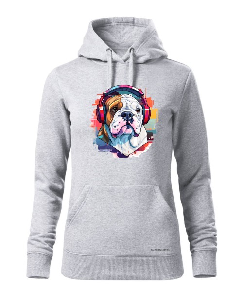 Buldog angielski