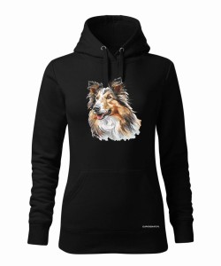 Owczarek szkocki collie