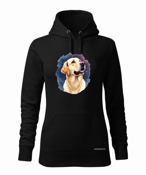 Golden retriever kosmos