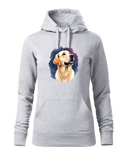 Golden retriever kosmos