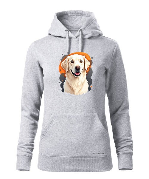 Golden retriever 1