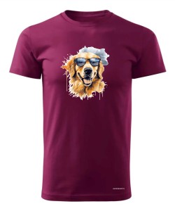 Golden Retriever w okularach