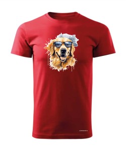 Golden Retriever w okularach