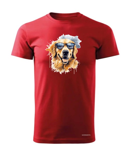 Golden Retriever w okularach