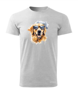 Golden Retriever w okularach