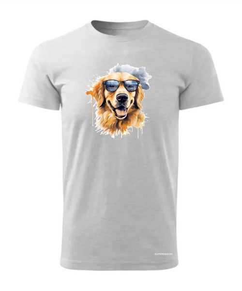 Golden Retriever w okularach