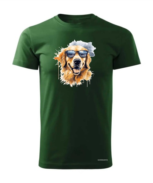 Golden Retriever w okularach
