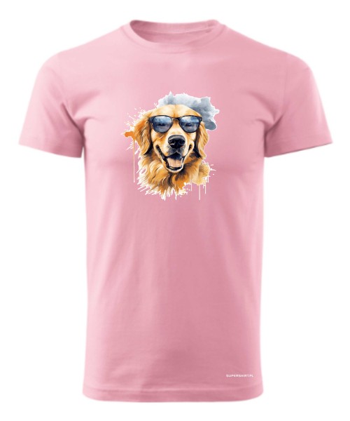 Golden Retriever w okularach