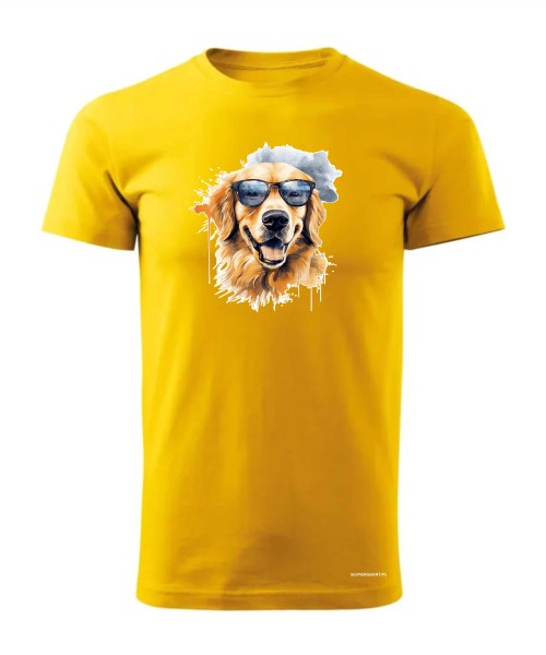 Golden Retriever w okularach