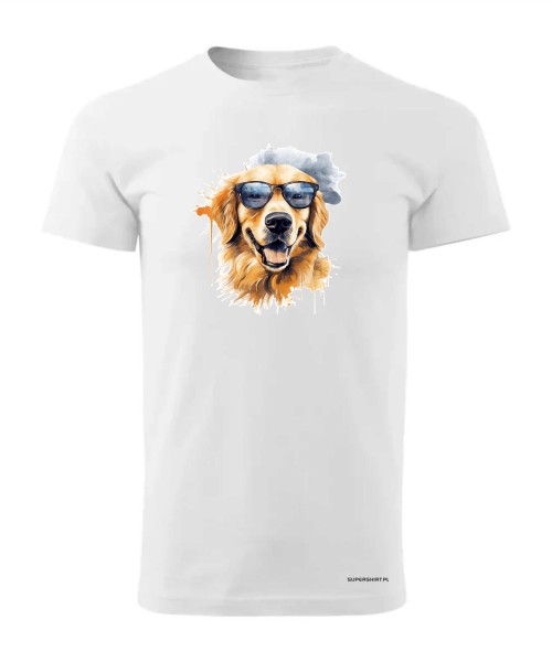 Golden Retriever w okularach