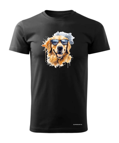 Golden Retriever w okularach