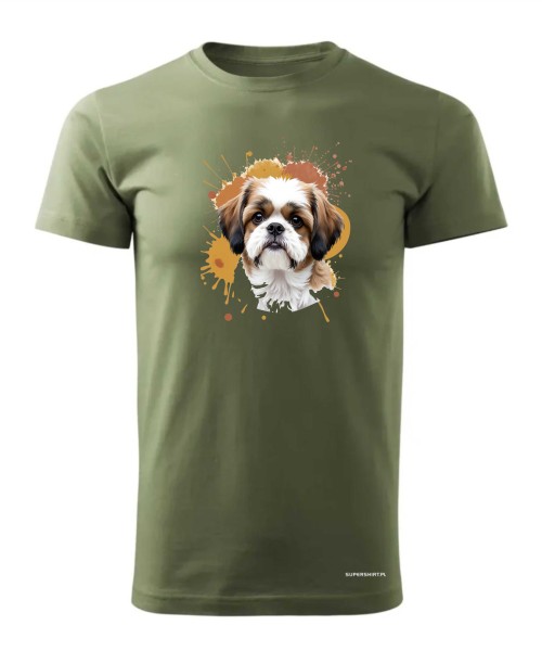 Shih Tzu