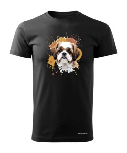 Shih Tzu