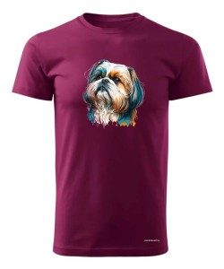 Shih Tzu 2 