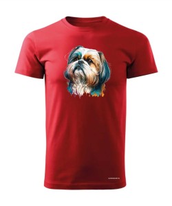Shih Tzu 2 