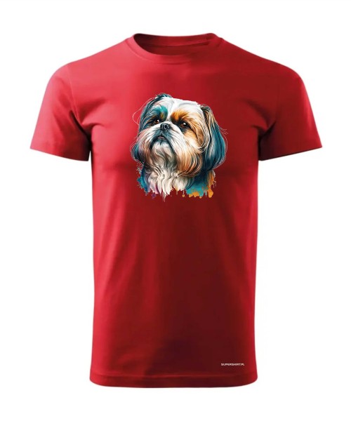 Shih Tzu 2 