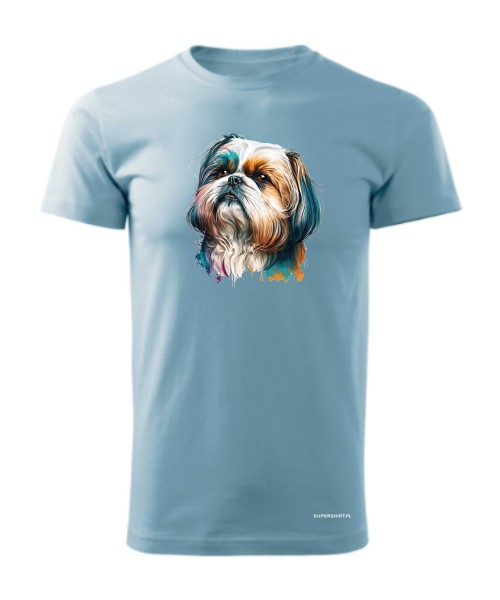 Shih Tzu 2 