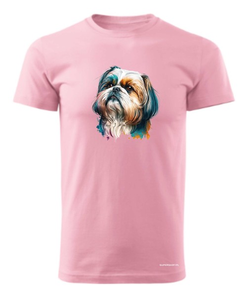 Shih Tzu 2 
