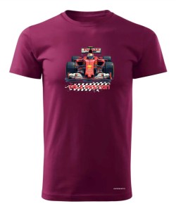 F1 - Pole position