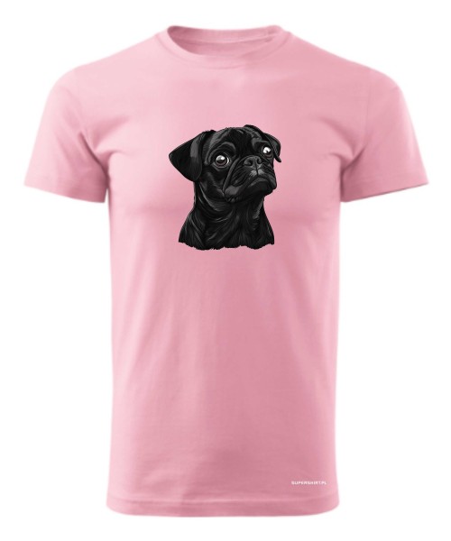 Mops 2