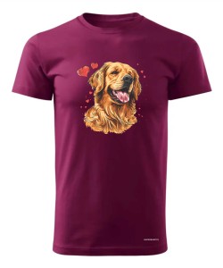 Golden Retriever serca
