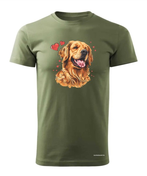Golden Retriever serca