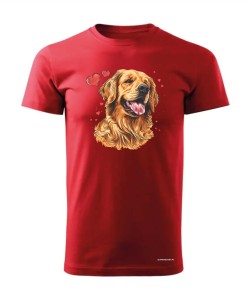 Golden Retriever serca