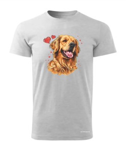 Golden Retriever serca