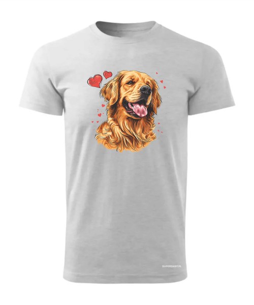 Golden Retriever serca