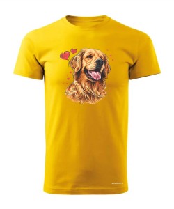 Golden Retriever serca