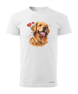 Golden Retriever serca
