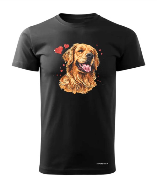 Golden Retriever serca