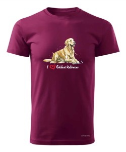 Golden Retriever leżący