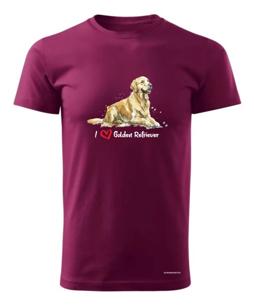 Golden Retriever leżący