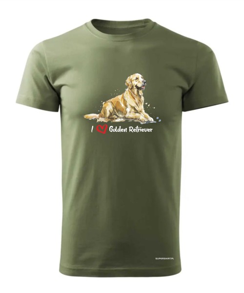 Golden Retriever leżący