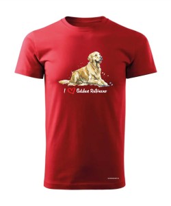 Golden Retriever leżący