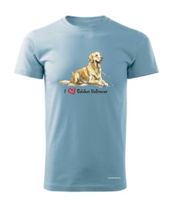 Golden Retriever leżący