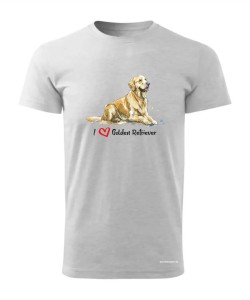 Golden Retriever leżący