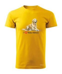 Golden Retriever leżący