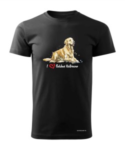 Golden Retriever leżący