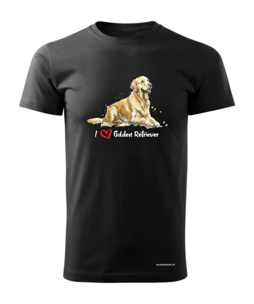Golden Retriever leżący