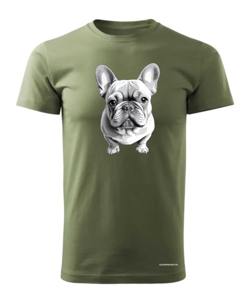 Buldog francuski
