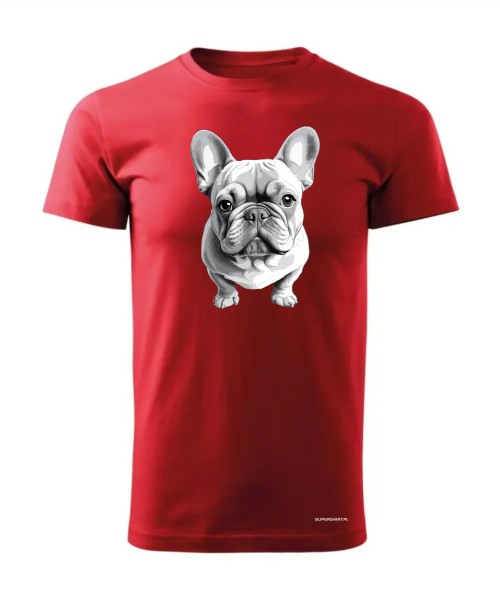 Buldog francuski