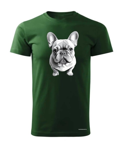 Buldog francuski