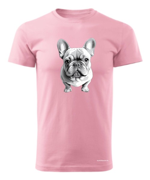 Buldog francuski