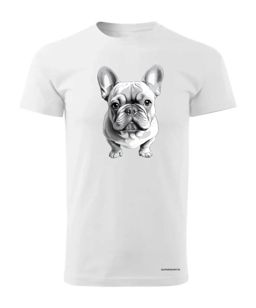 Buldog francuski